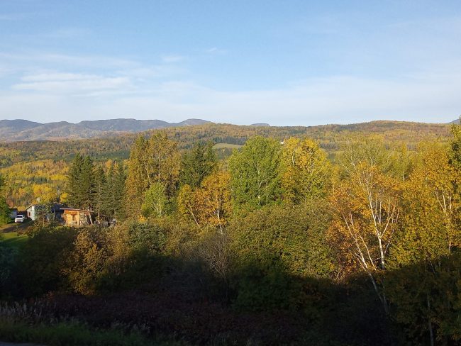 Indian Summer